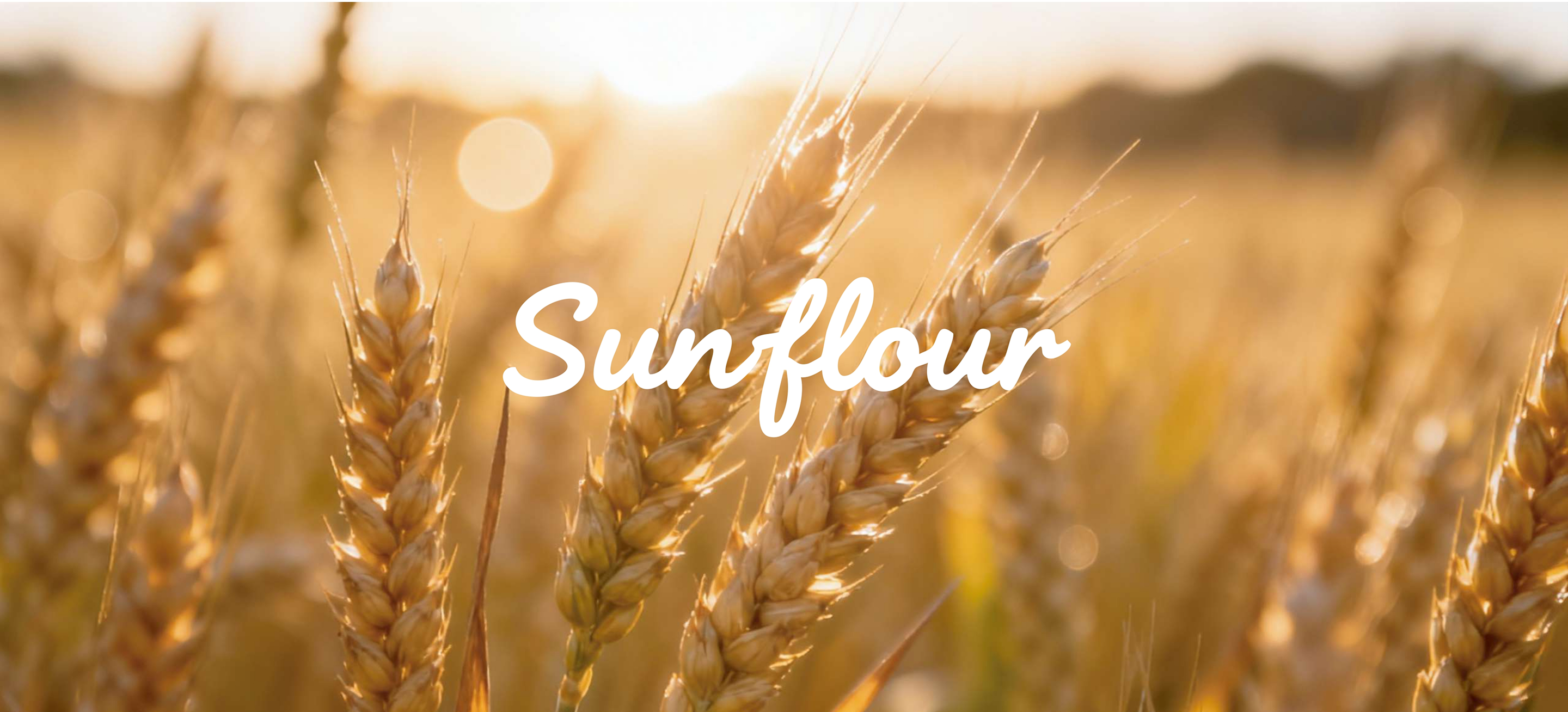 Packaging design of sunflour bakery